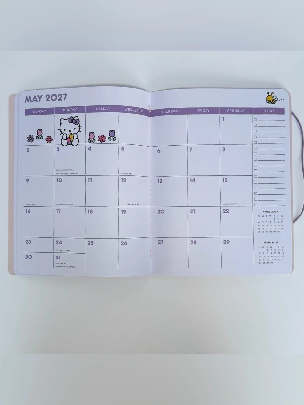 Sanrio Hello Kitty 17-month 2026-2027 Slim Thin Planner (HKF Classic Blush Pink)